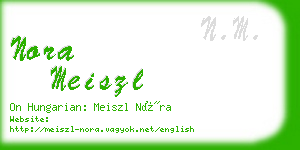 nora meiszl business card